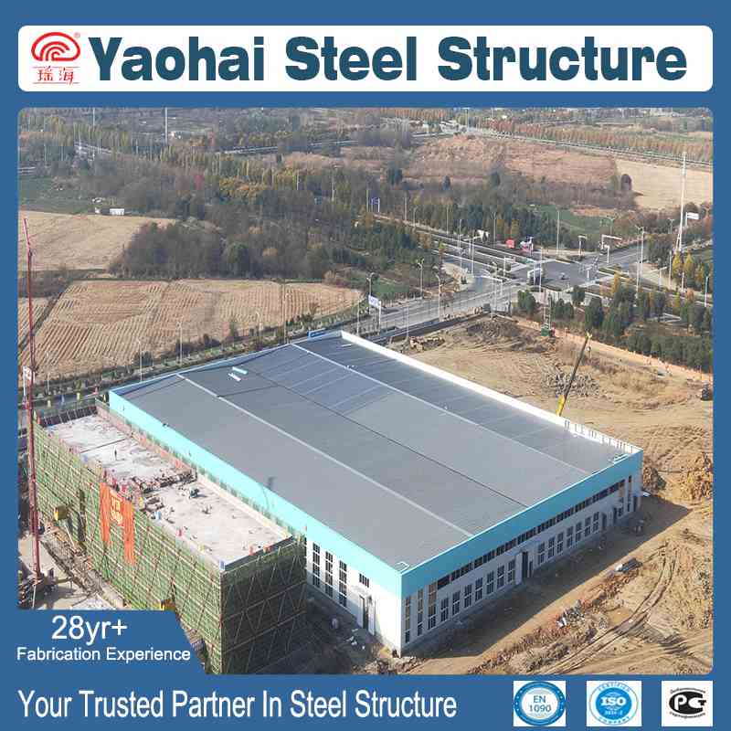 Q355B Single-Storey Steel Structure Warehouse and Light Steel Industrial Storage Building Project