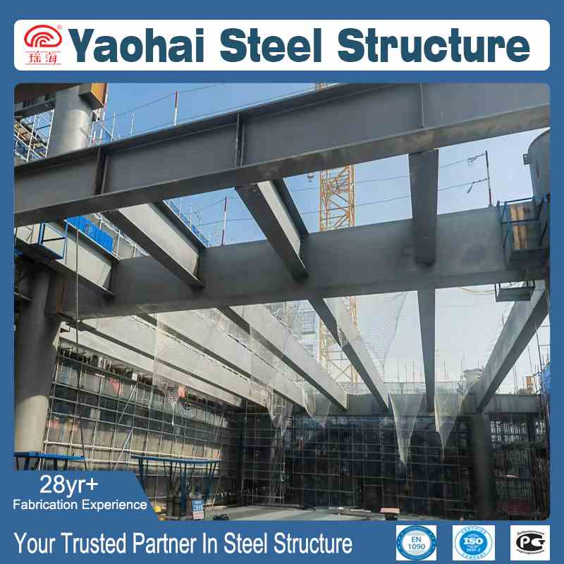 Heavy Steel Structure Main Frame and Complex Engineering Construction Project